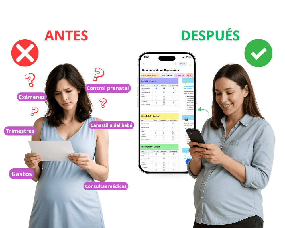 Mockup of the Organized Mom's Guide